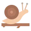 Snail icon 64x64