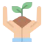 Sprout icon 64x64