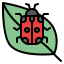 Ladybug icon 64x64