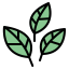 Leaves icon 64x64