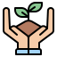 Sprout icon 64x64