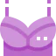 Brassiere icon 64x64