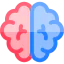 Brain Symbol 64x64