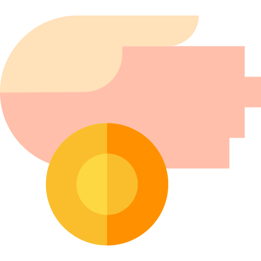 Donation icon