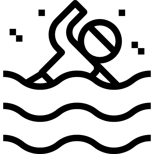 Swimmer icon