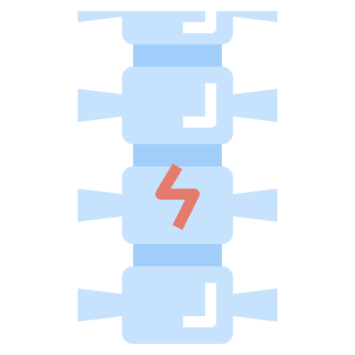 Spine icon