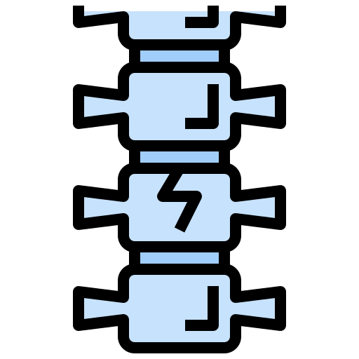 Spine icon