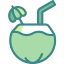 Coconut icon 64x64