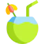 Coconut icon 64x64