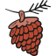 Pine nut icon 64x64