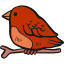 Bird icon 64x64