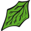 Leaf icon 64x64