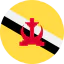 Brunei ícono 64x64