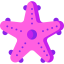Starfish icon 64x64