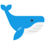 Whale icon 64x64