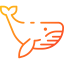 Whale icon 64x64