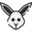 Arctic hare Ikona 64x64