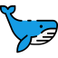 Whale icon 64x64
