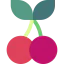 Cherry icon 64x64
