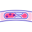 Cardiology icon 64x64