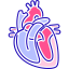 Cardiology icon 64x64