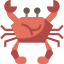 Animal icon 64x64