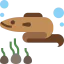Animal icon 64x64