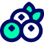 Blueberry icon 64x64