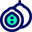 Passion fruit icon 64x64