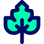 Parsley icon 64x64