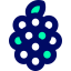 Raspberry icon 64x64