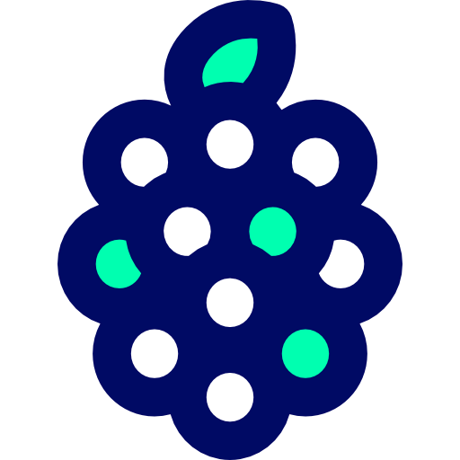 Raspberry icon
