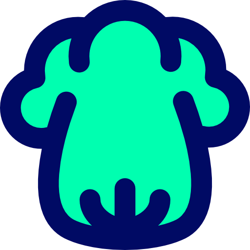 Cabbage icon