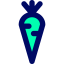 Carrot icon 64x64