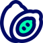 Papaya icon 64x64