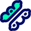 Tamarind icon 64x64