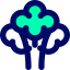 Broccoli icon 64x64
