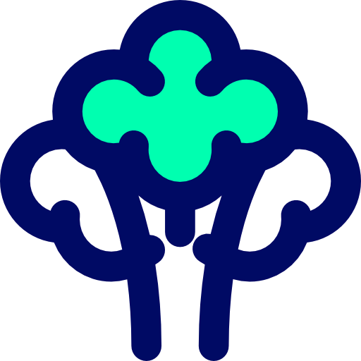 Broccoli icon