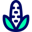 Corn icon 64x64