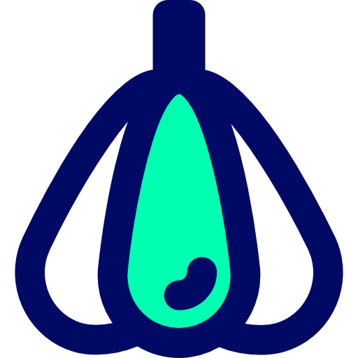 Garlic icon