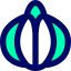 Onion icon 64x64