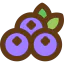 Blueberry icon 64x64