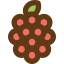 Raspberry icon 64x64