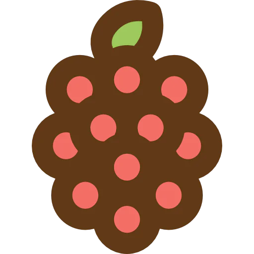 Raspberry icon