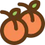 Apricot icon 64x64