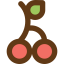 Cherry icon 64x64