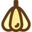 Garlic icon 64x64