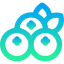 Blueberry icon 64x64