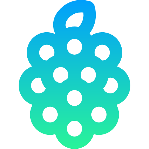 Raspberry icon