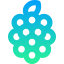 Raspberry icon 64x64